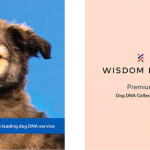 wisdom-essential-dog-dna-kit-compare